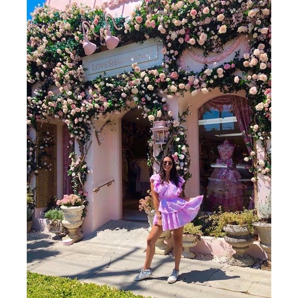 LoveShackFancy Gwen Dress in Peony Pink Small New Nwt Women's Mini Cotton - Picture 4 of 16